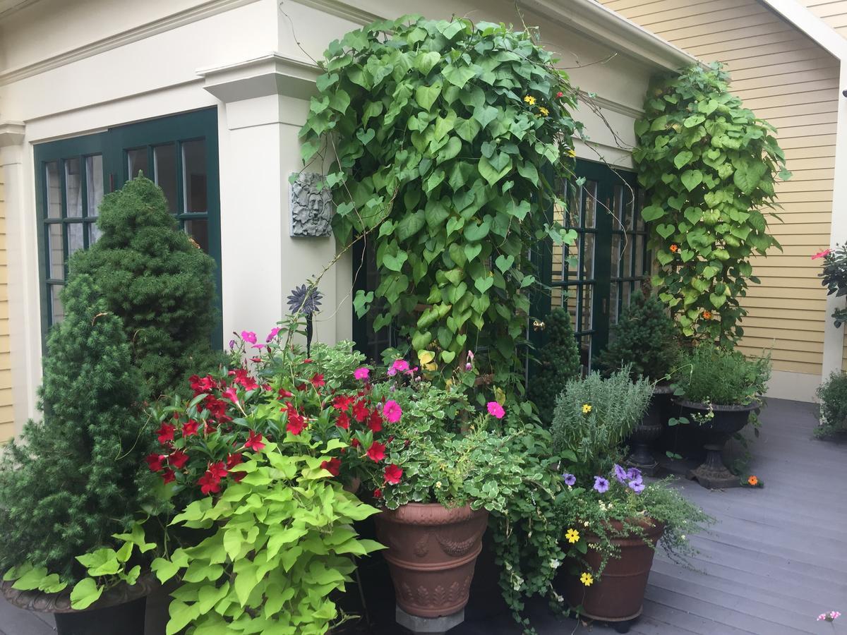 Mary Prentiss Inn Кембридж Экстерьер фото